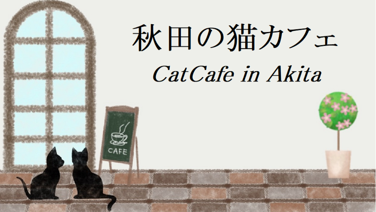 秋田の猫カフェ