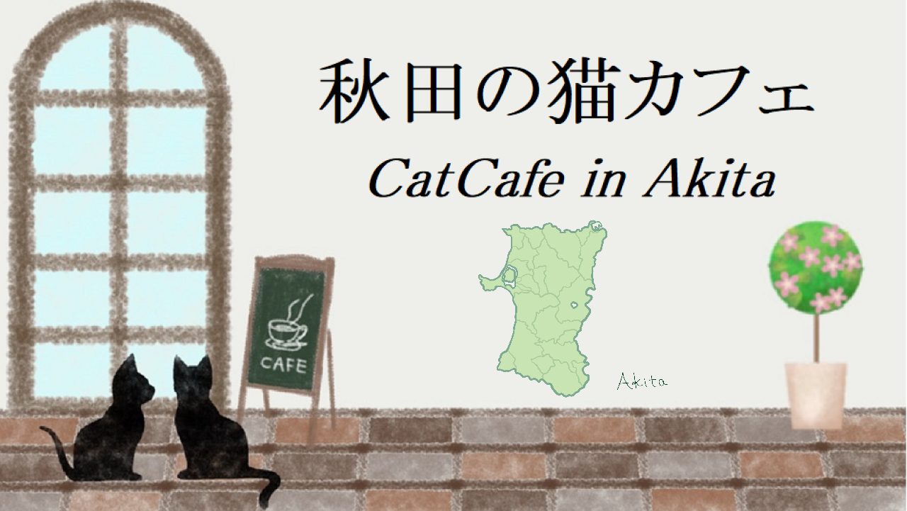 秋田県の猫カフェ