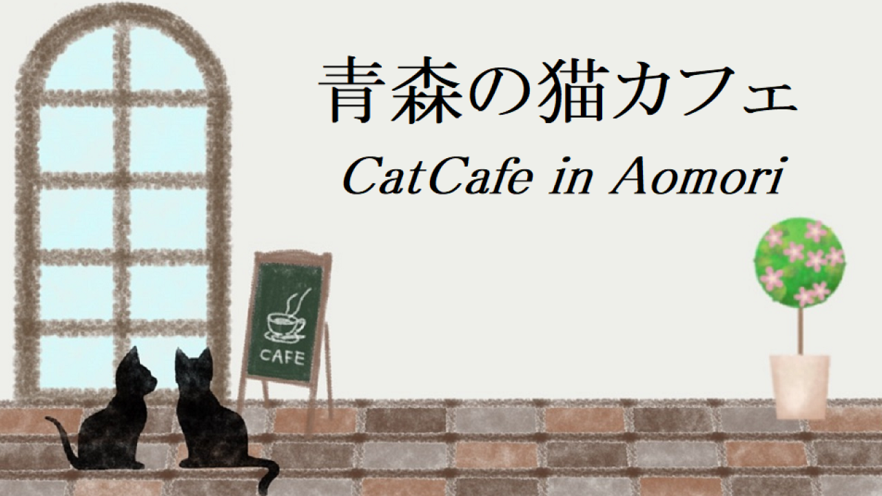 青森の猫カフェ