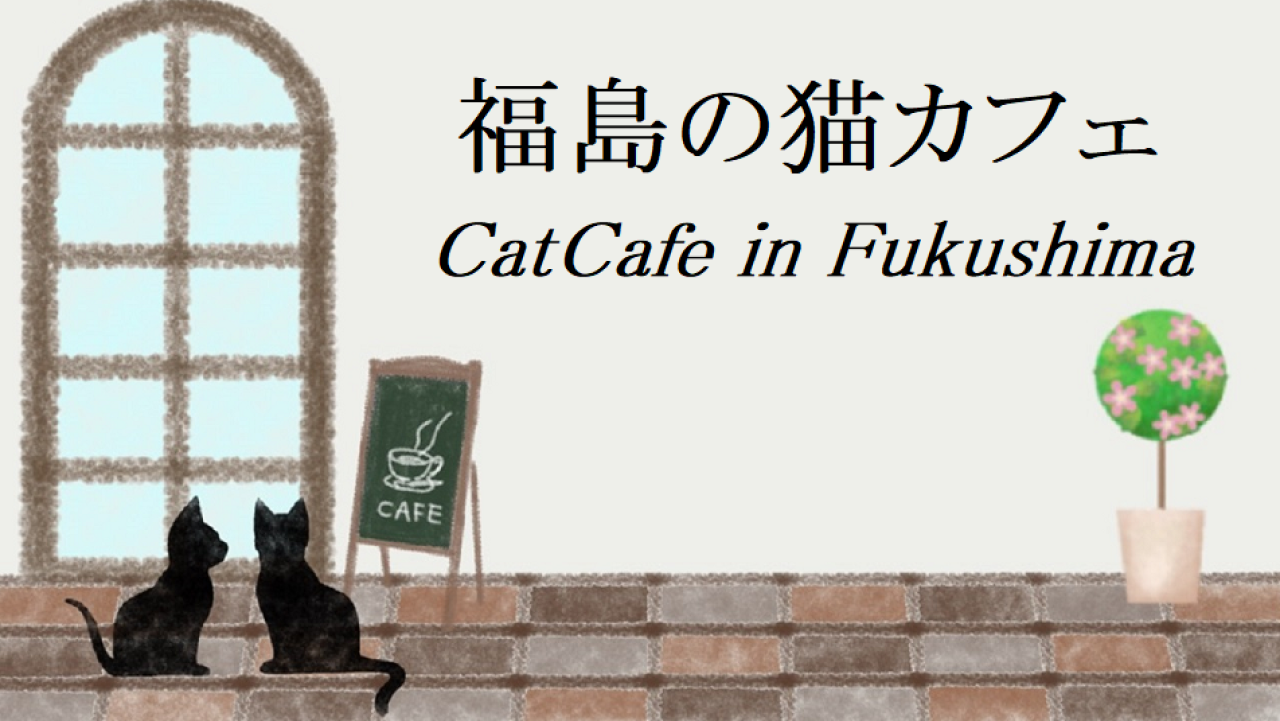 福島の猫カフェ