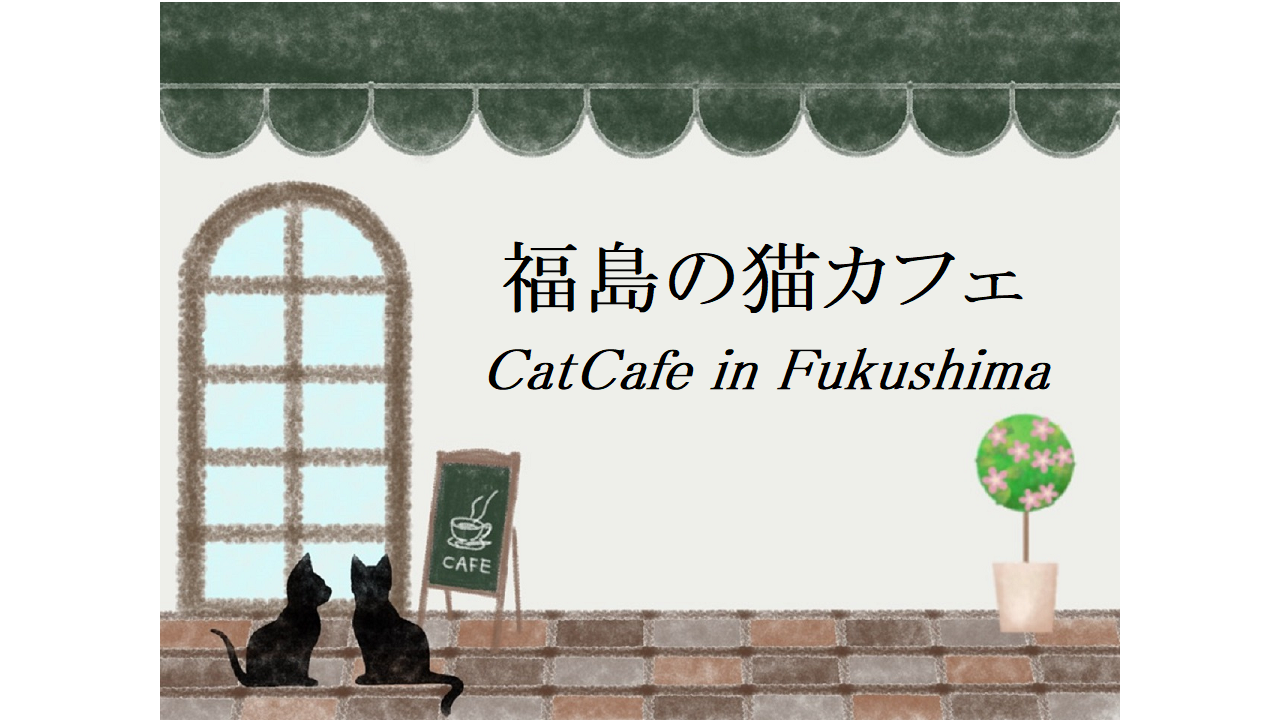 福島の猫カフェ