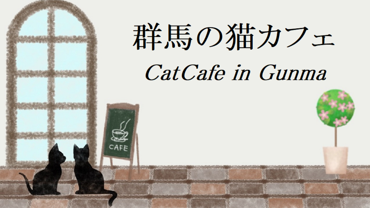 群馬の猫カフェ
