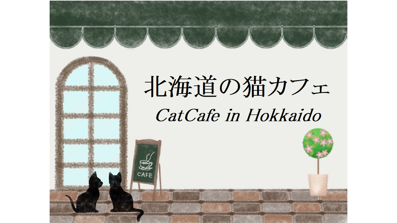北海道の猫カフェ
