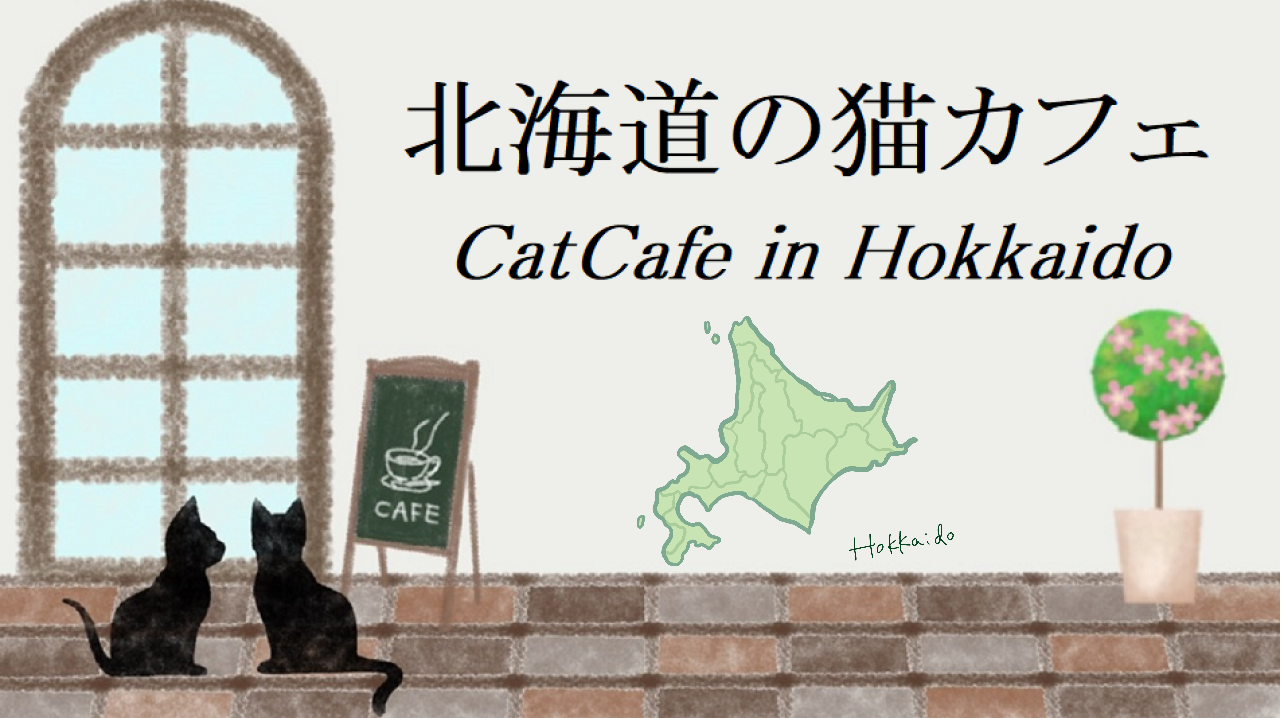 北海道の猫カフェ