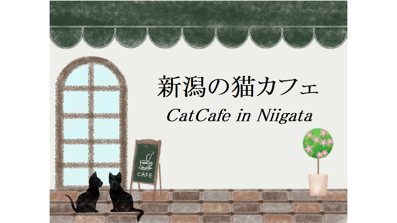 新潟の猫カフェ