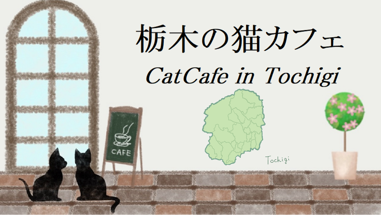 栃木県の猫カフェ