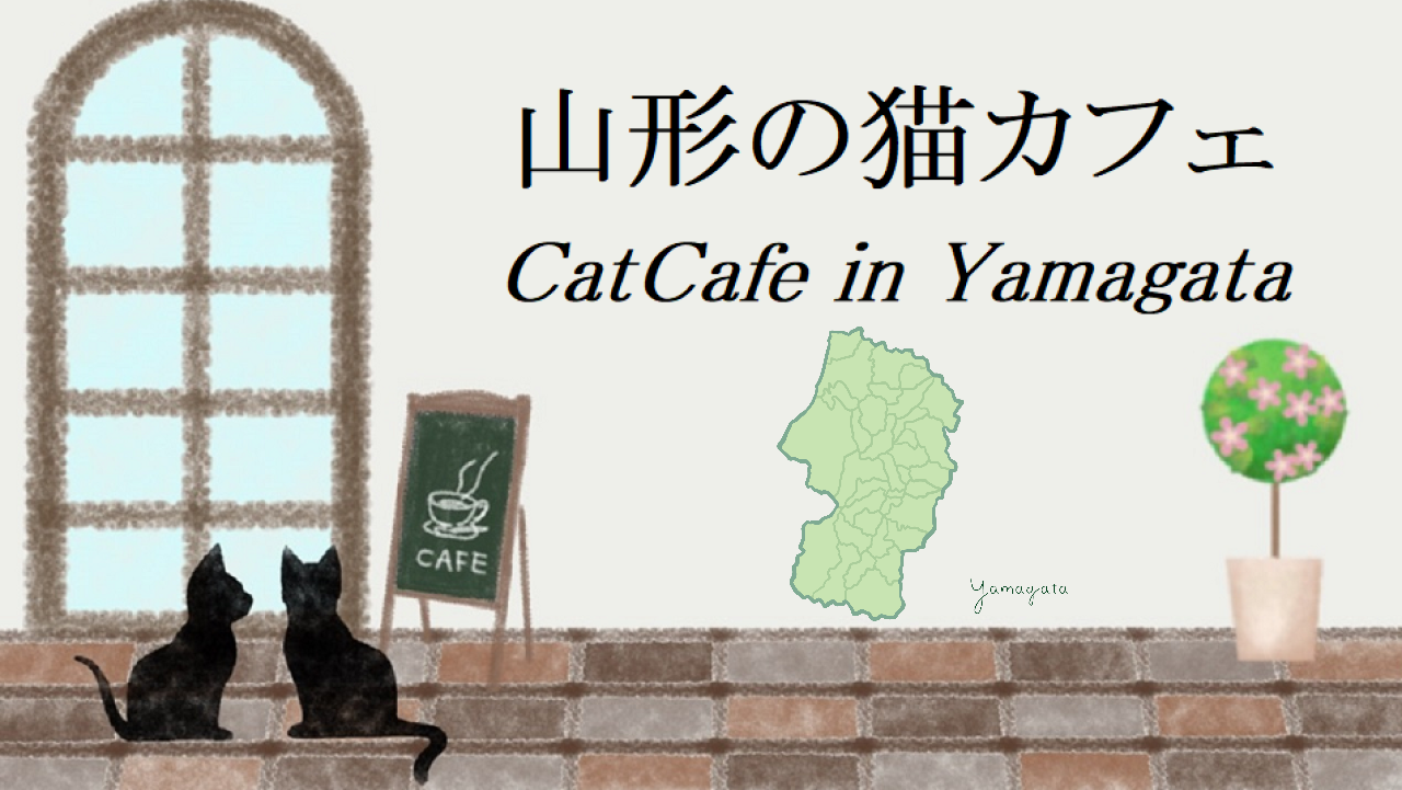 山形県の猫カフェ