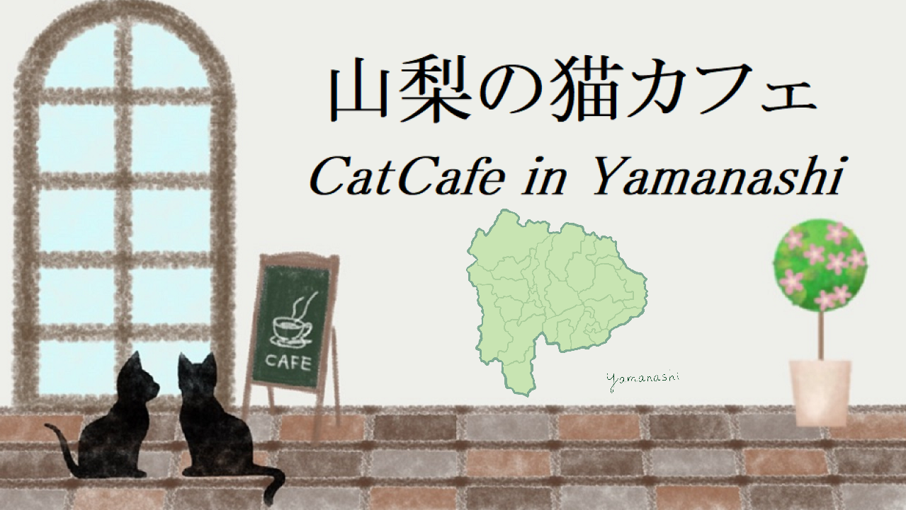 山梨県の猫カフェ