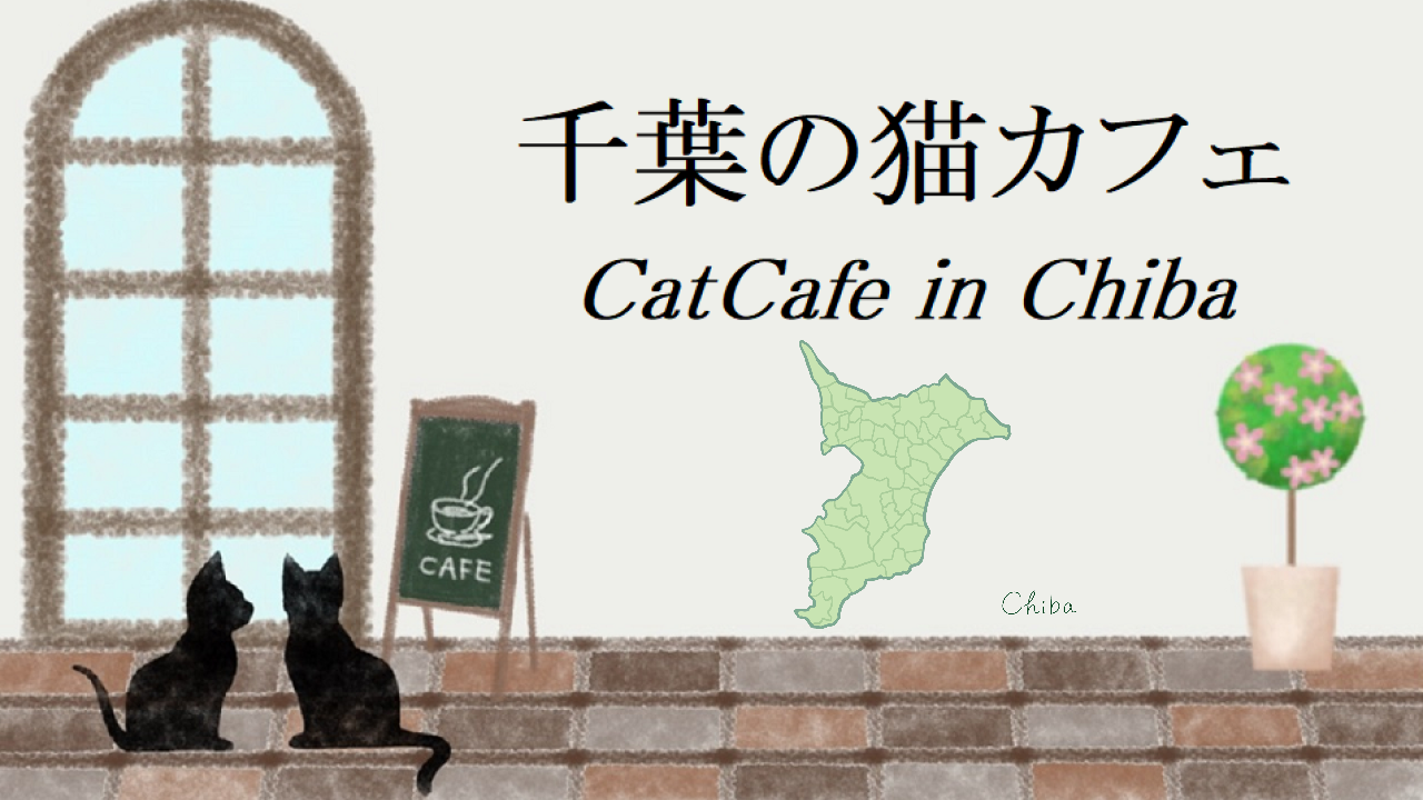 千葉県の猫カフェ