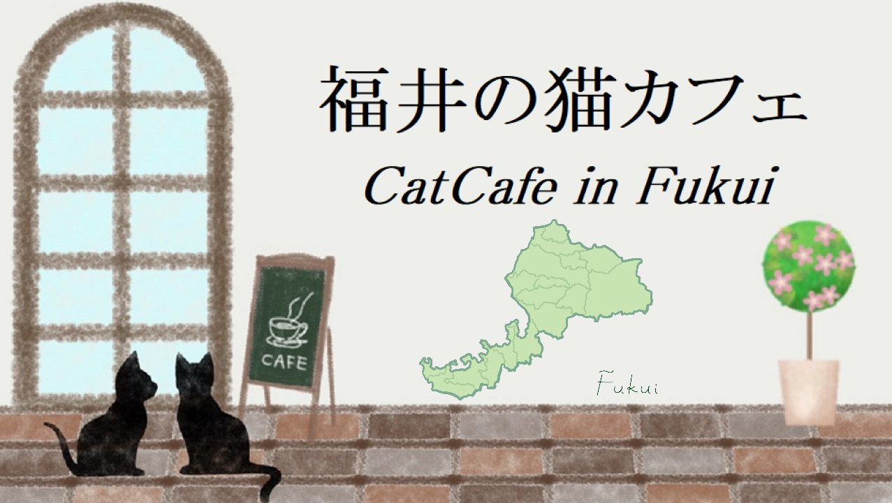 福井県の猫カフェ