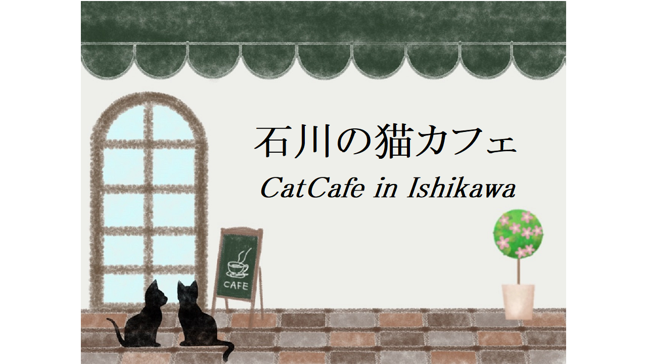 石川の猫カフェ