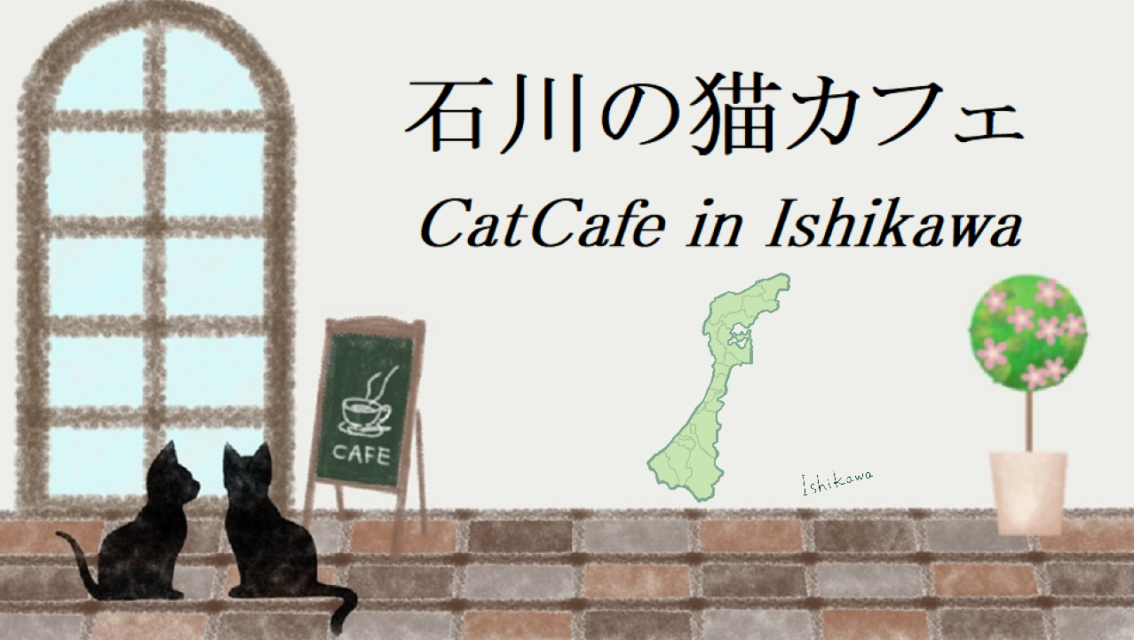 石川県の猫カフェ