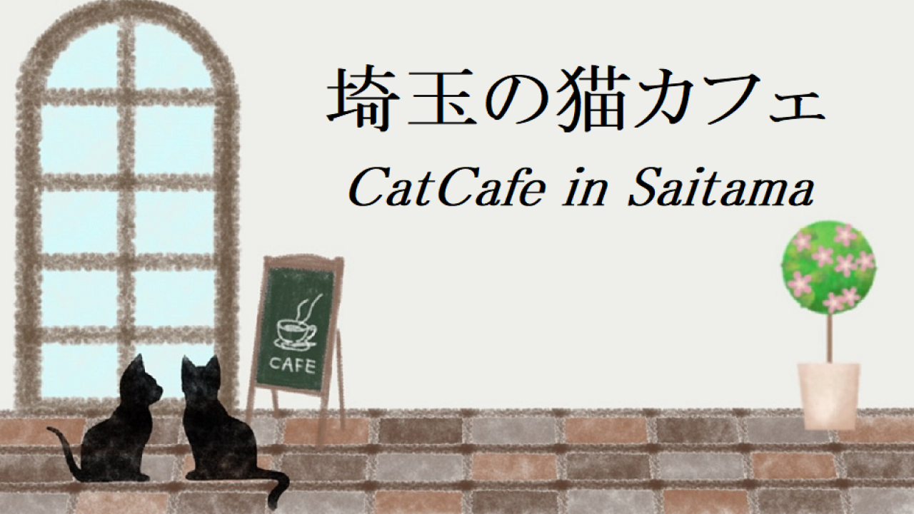 埼玉の猫カフェ
