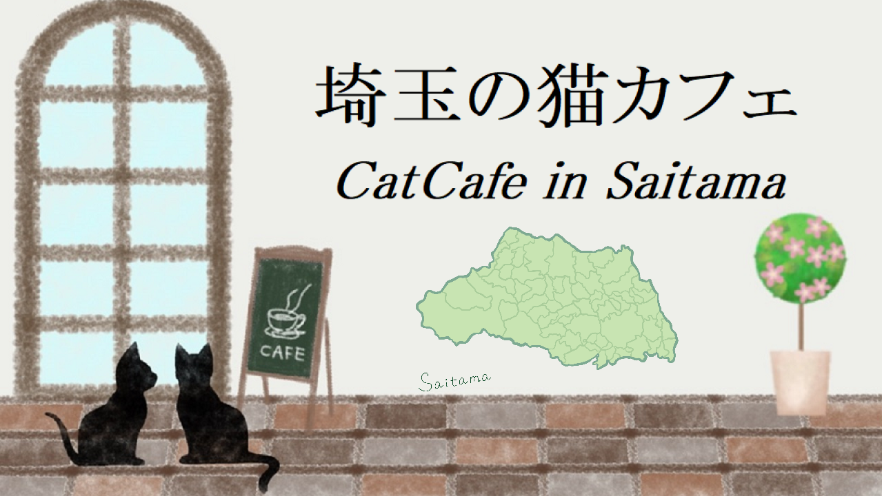 埼玉県の猫カフェ