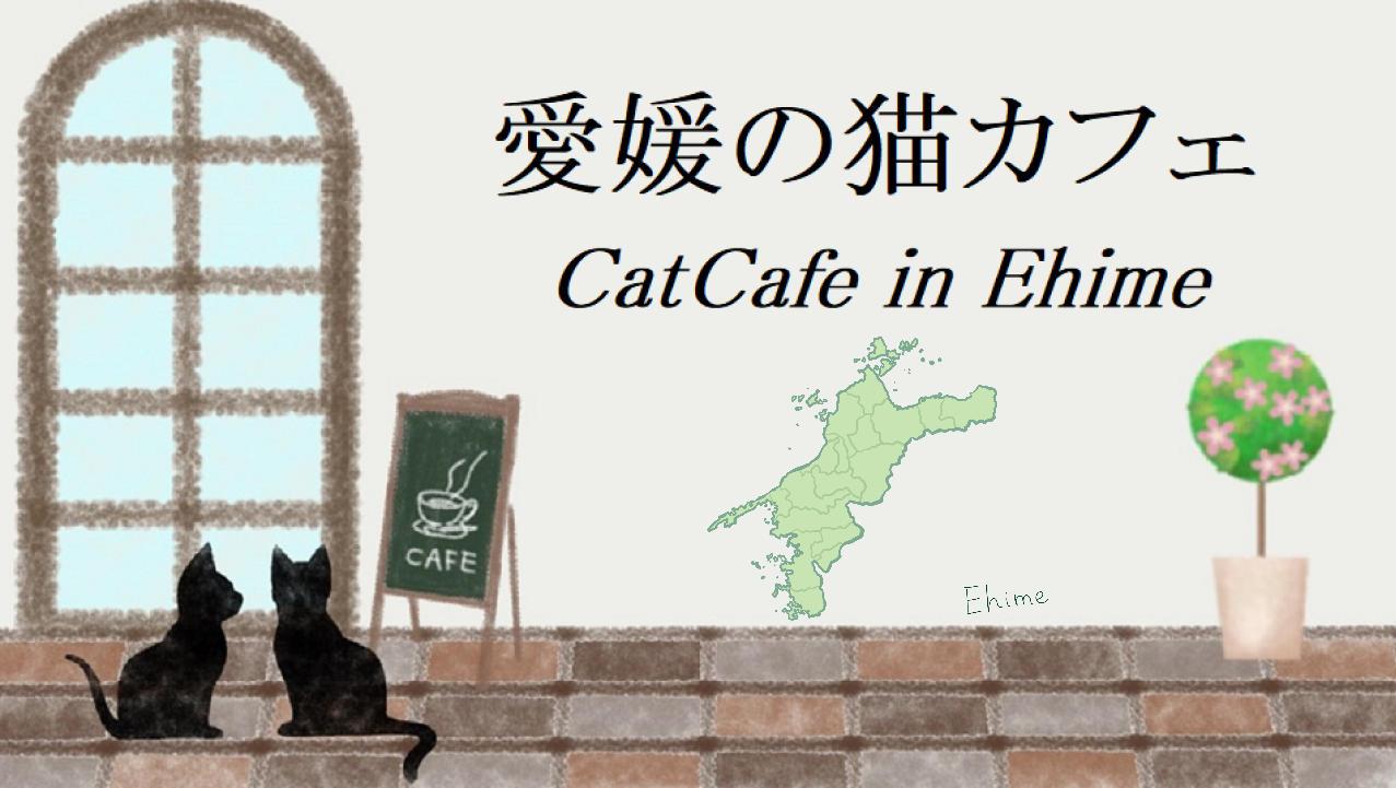 愛媛県の猫カフェ