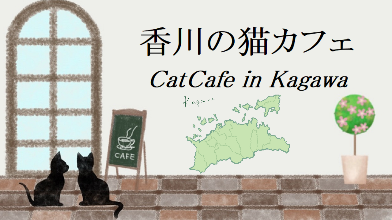 香川県の猫カフェ