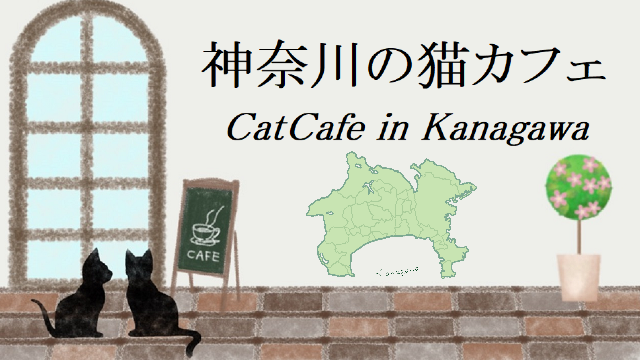 神奈川県の猫カフェ