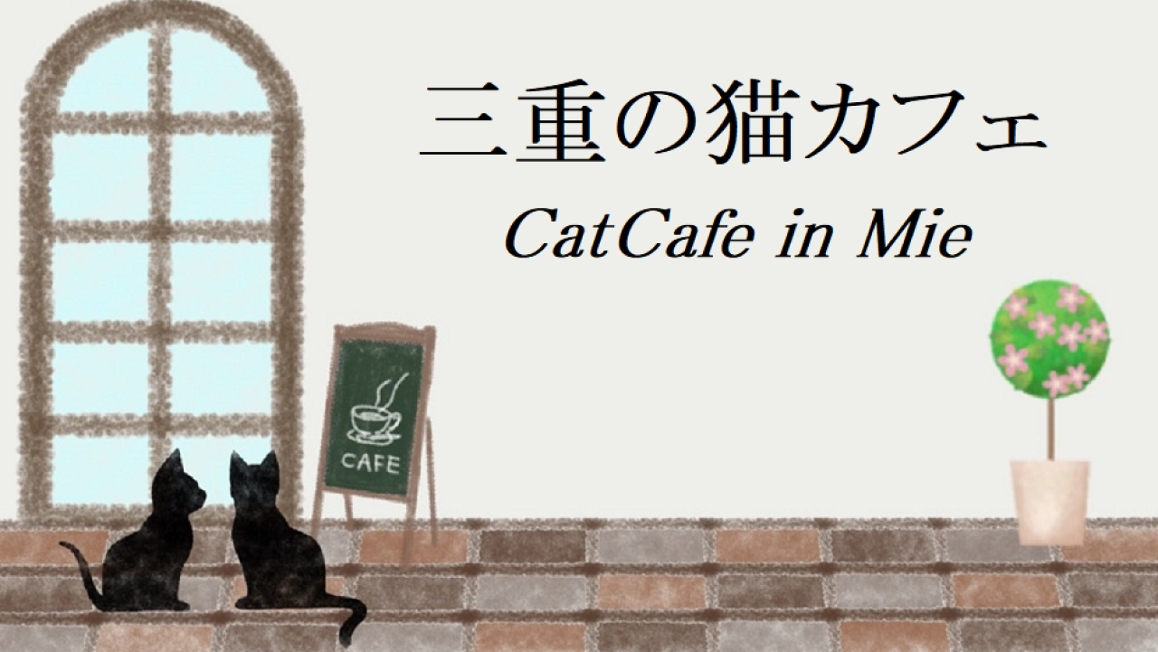 三重の猫カフェ