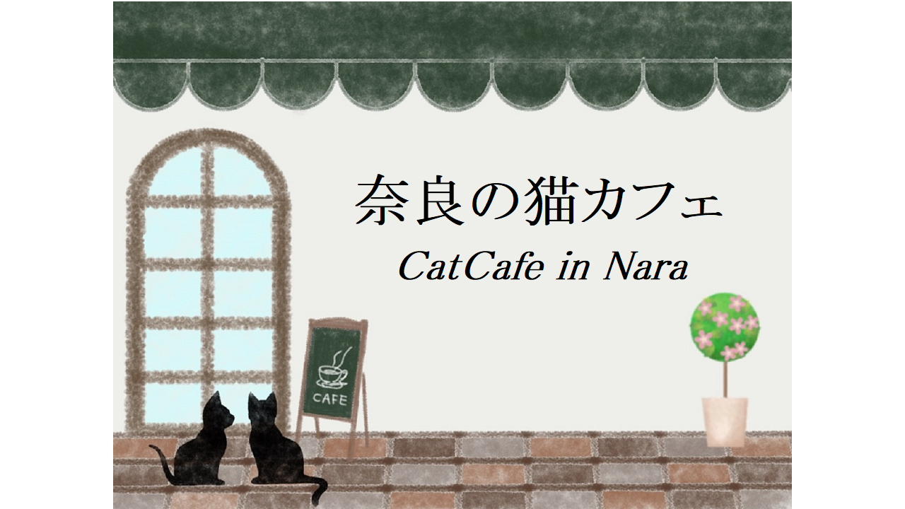 奈良の猫カフェ