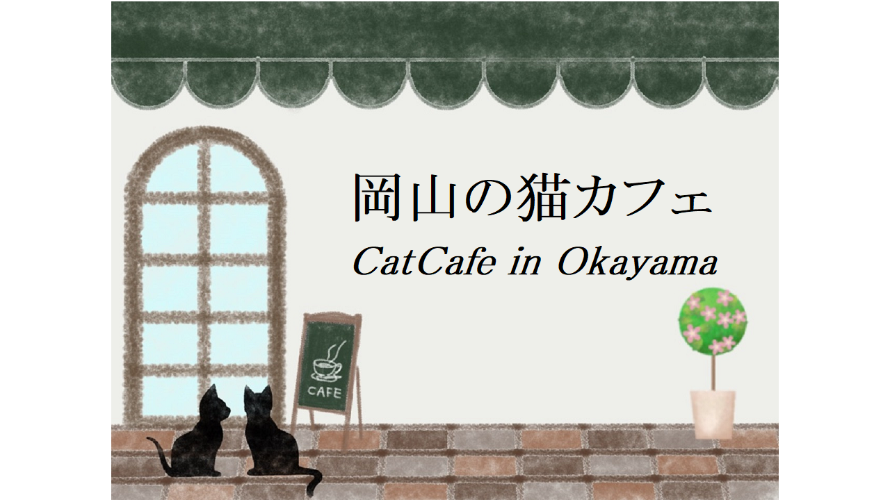 岡山の猫カフェ