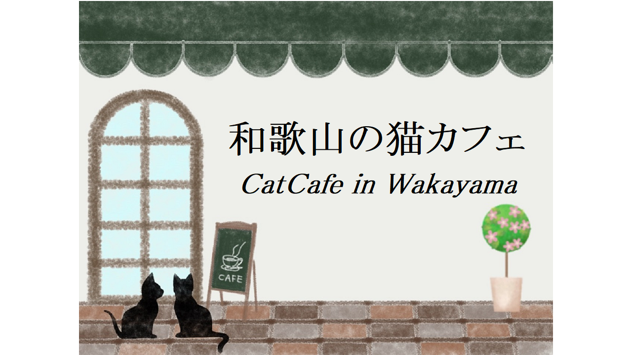 和歌山の猫カフェ