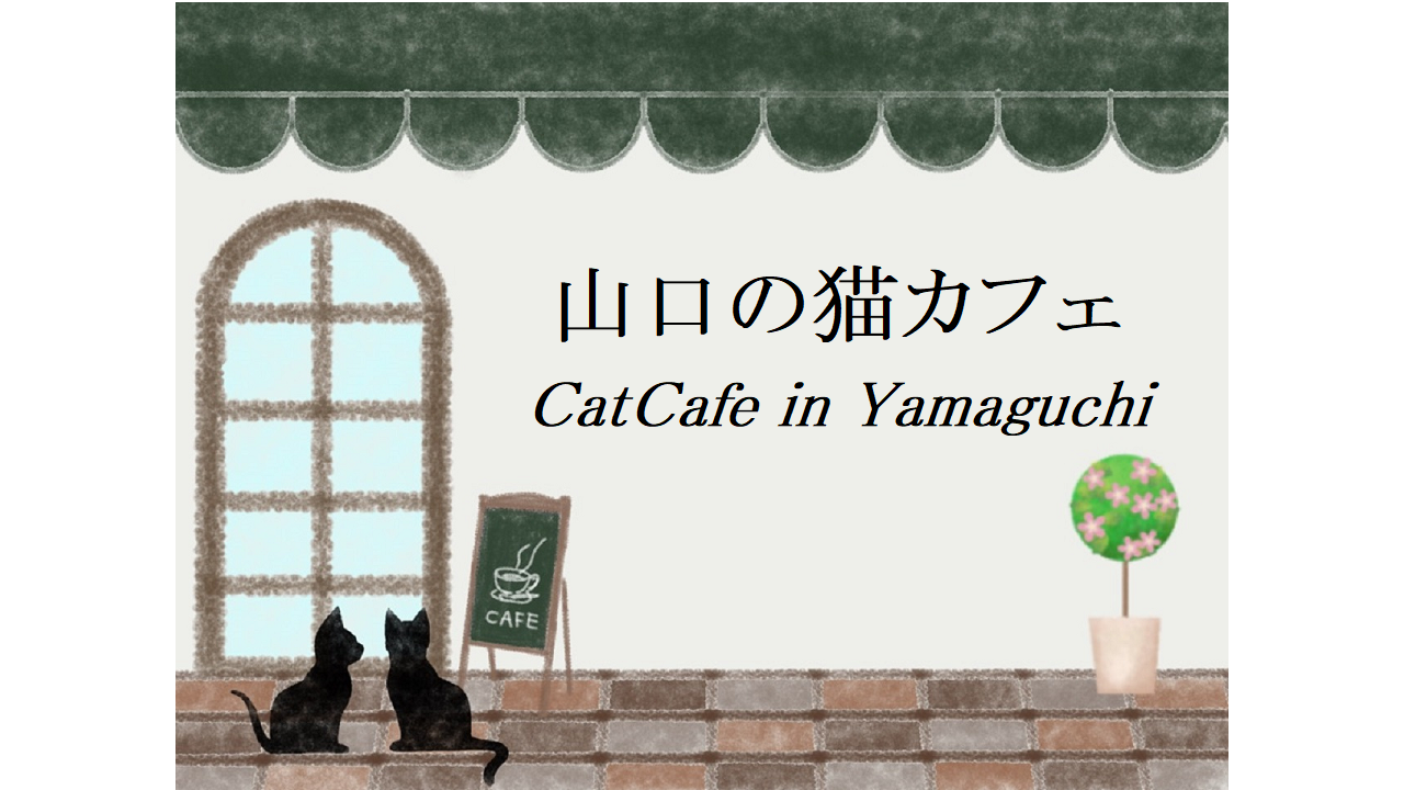山口の猫カフェ