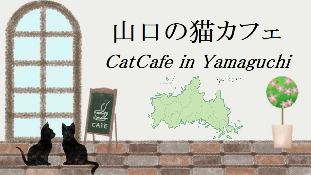 山口県の猫カフェ