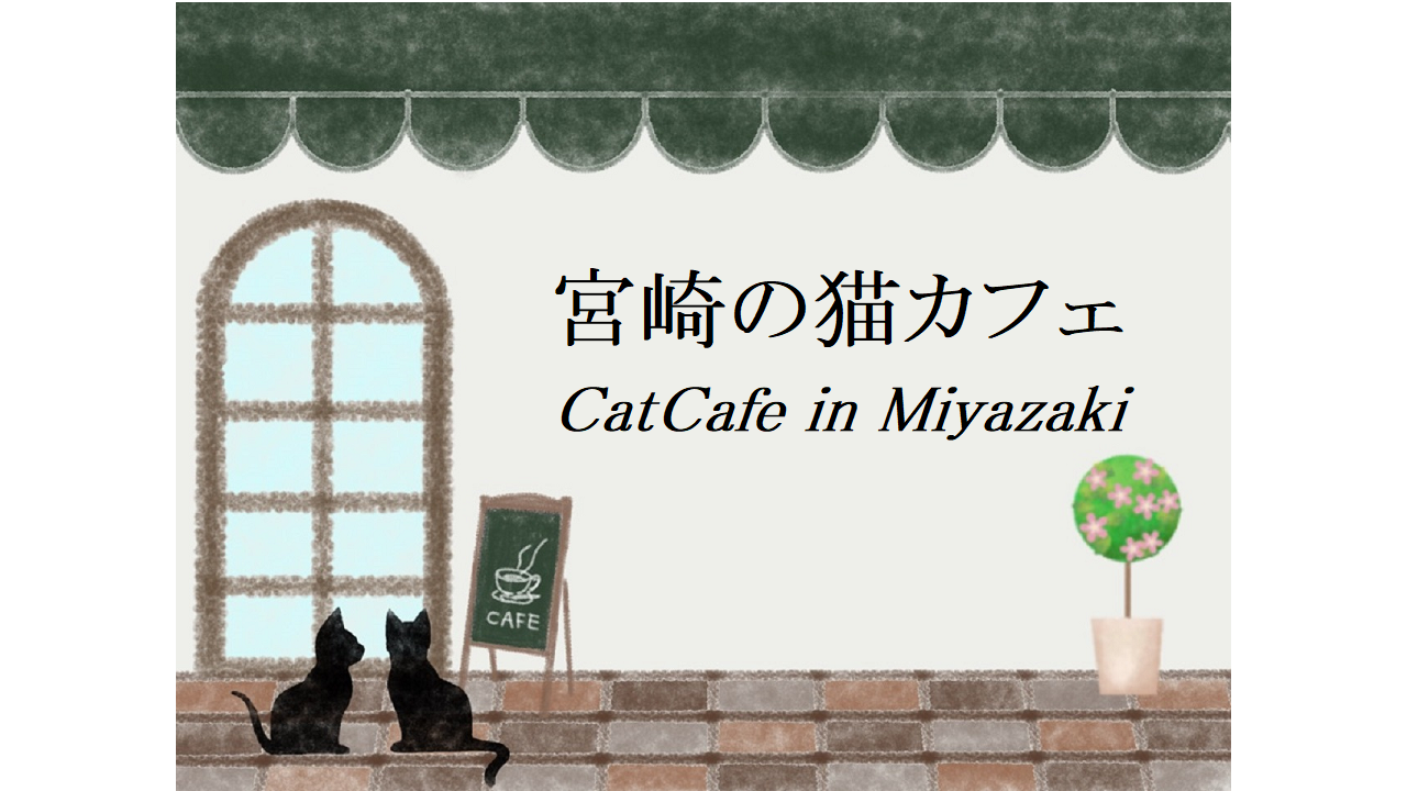 宮崎の猫カフェ