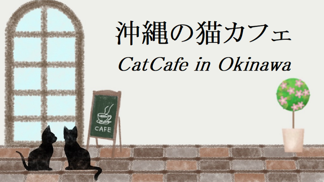沖縄の猫カフェ
