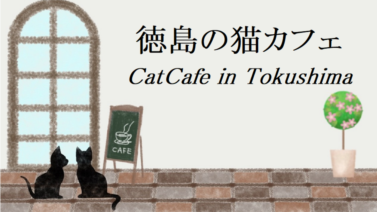 徳島の猫カフェ