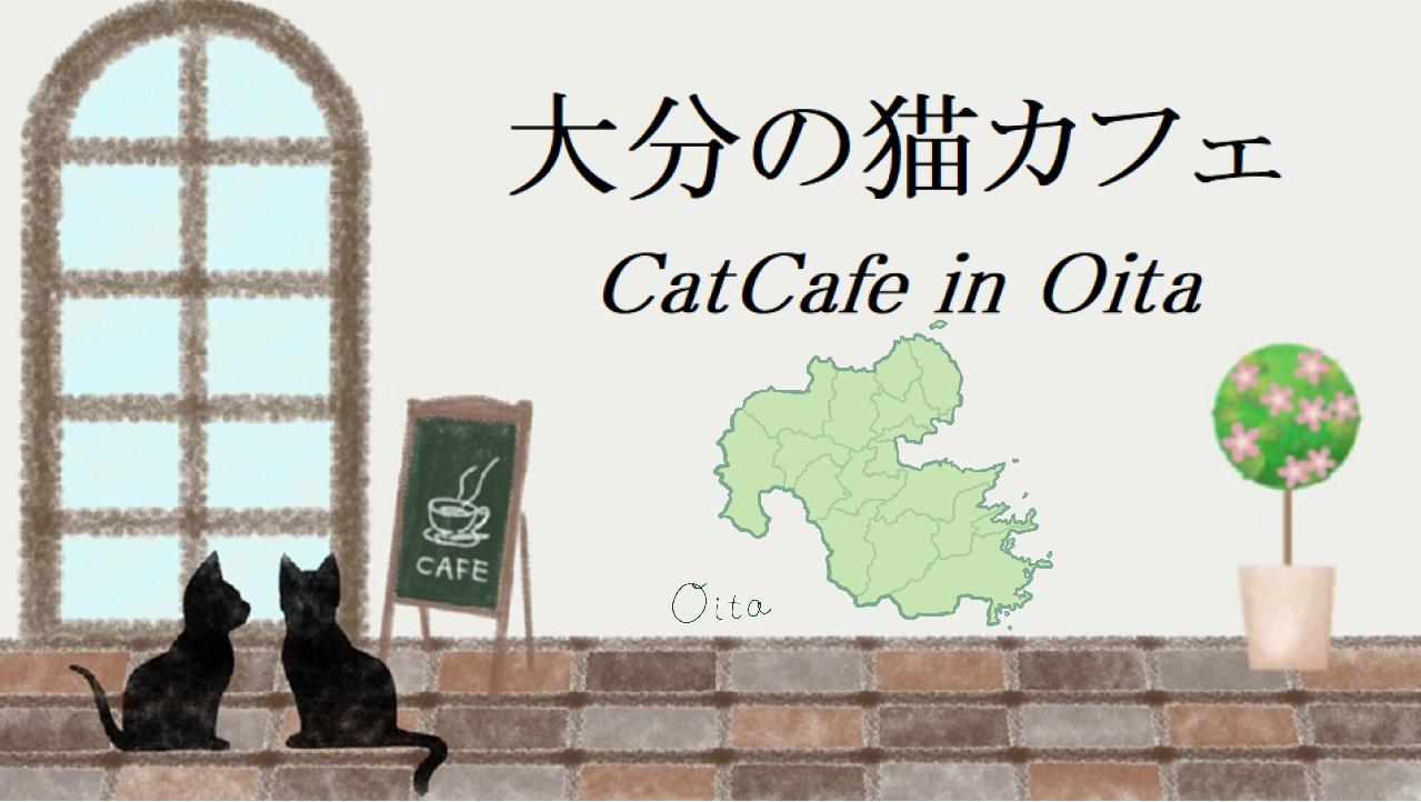 大分県の猫カフェ