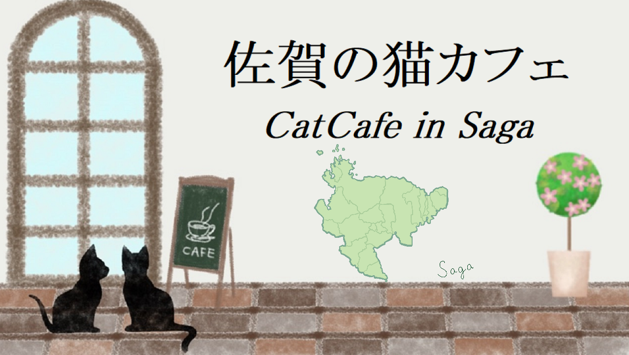 佐賀県の猫カフェ