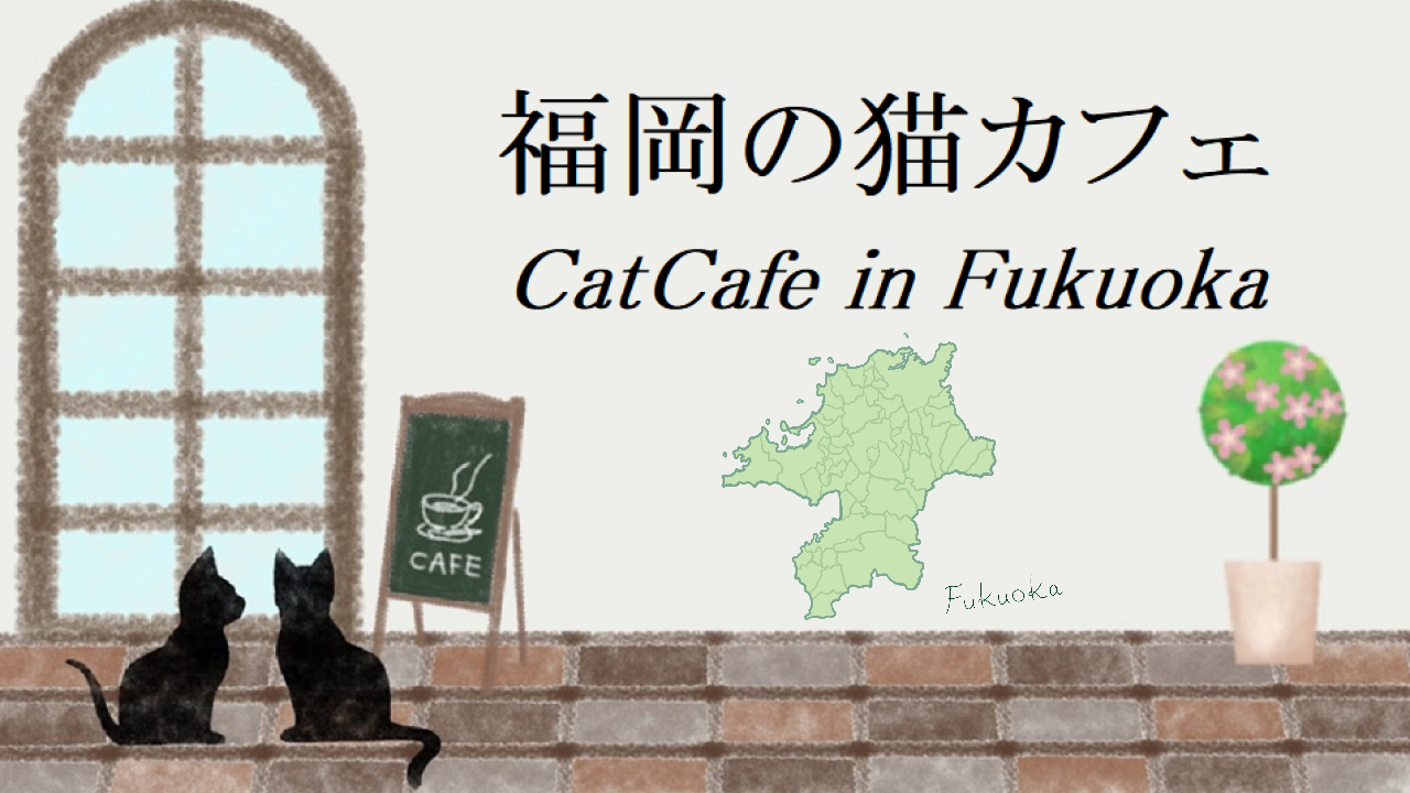 福岡県の猫カフェ