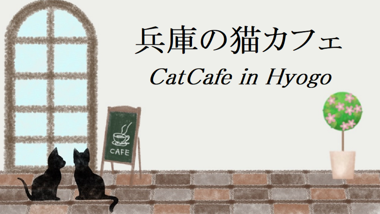 兵庫の猫カフェ