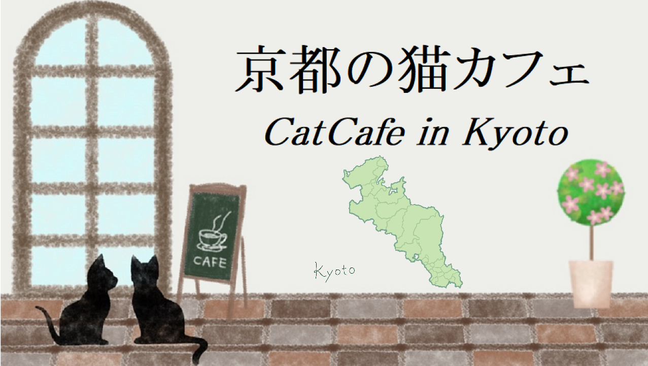 京都府の猫カフェ