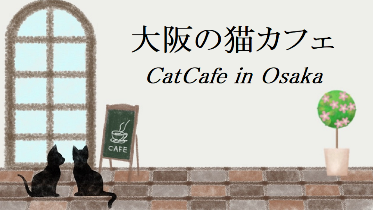大阪の猫カフェ