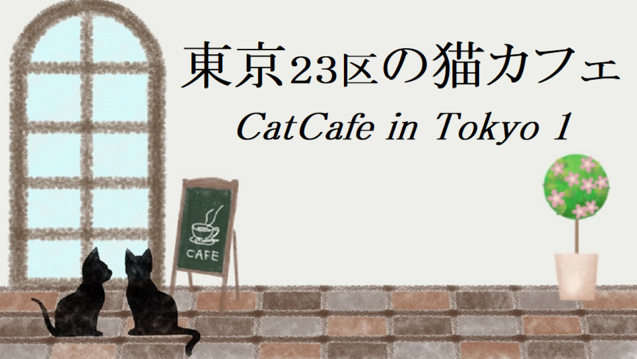 東京23区の猫カフェ