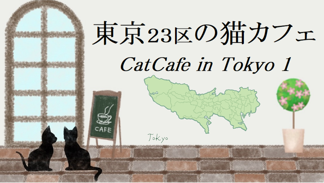 東京23区の猫カフェ