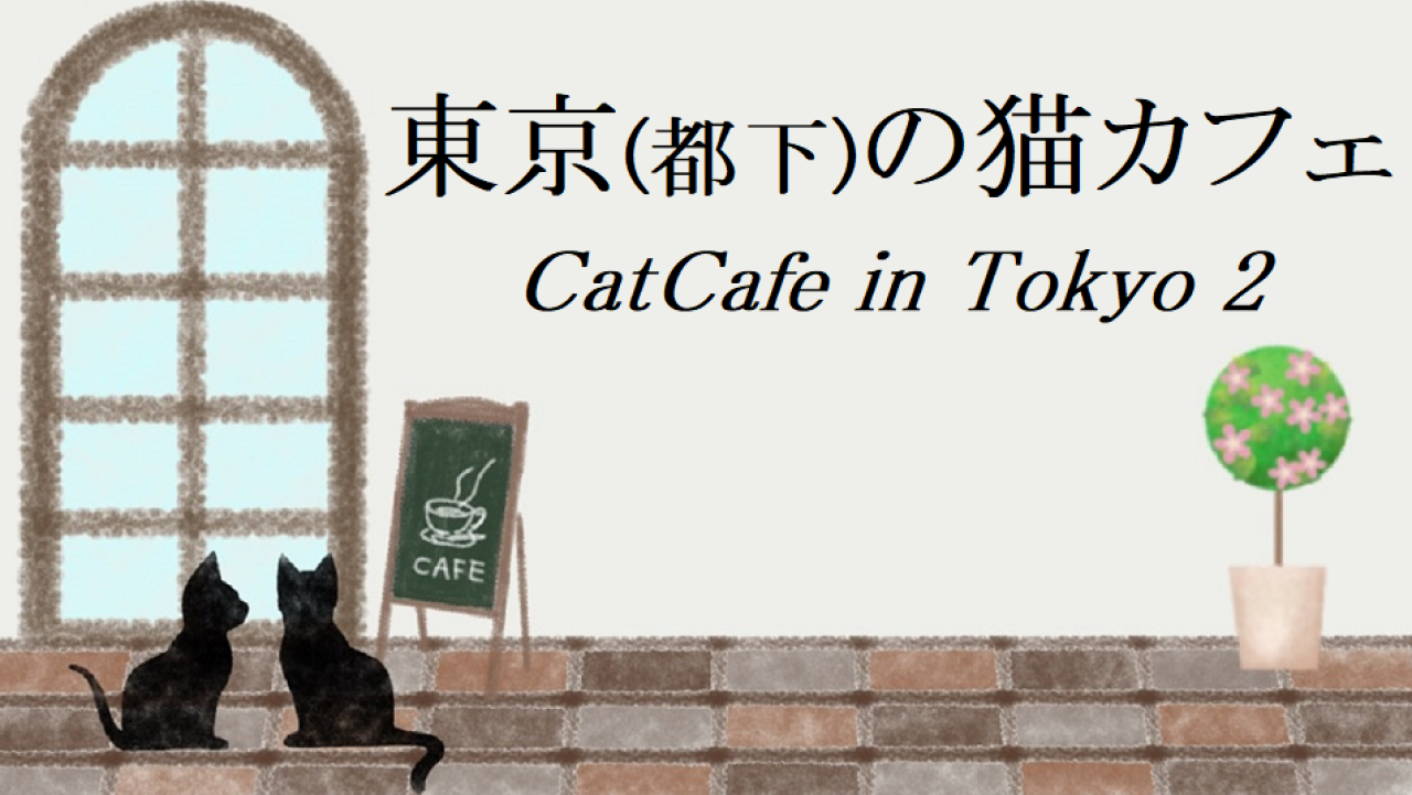東京都下・多摩の猫カフェ