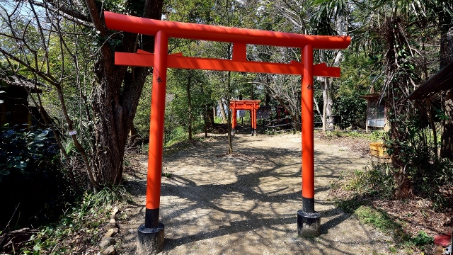 西坂ねこ稲荷神社