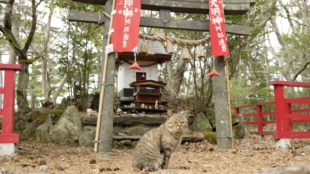 田代島・猫神社