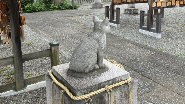 ただいま猫の石像