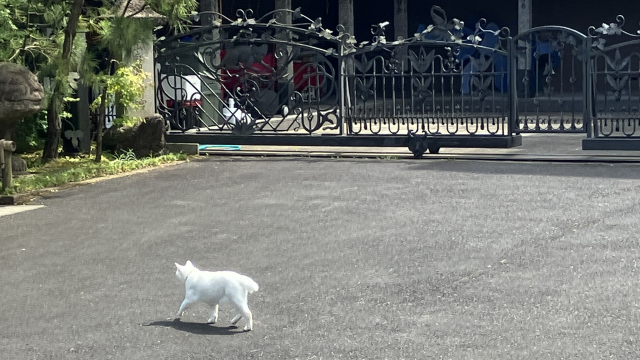 松山庭園美術館