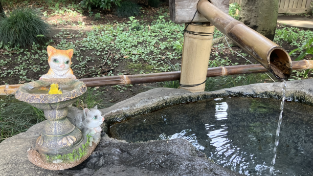 馬場氷川神社