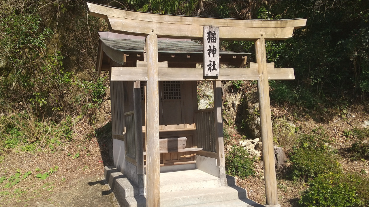 猫神社/箕越猫祠社