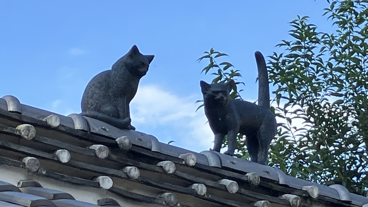 萩原朔太郎記念館/屋根の上のねこ