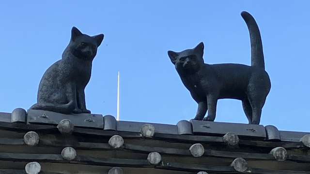 萩原朔太郎記念館　屋根の上の猫