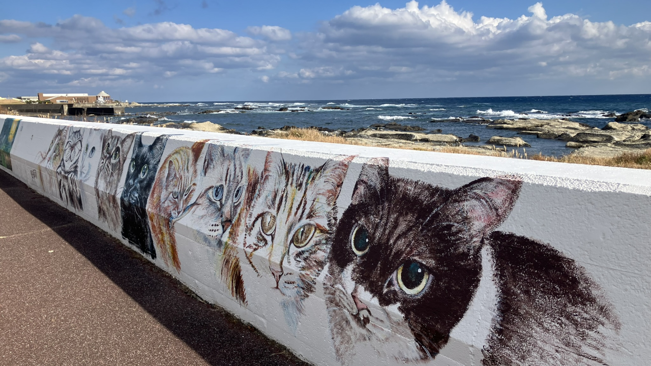 ちくらアートな海の散歩道「大川エリア」