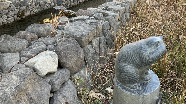 烏山川緑道 (東京・世田谷)