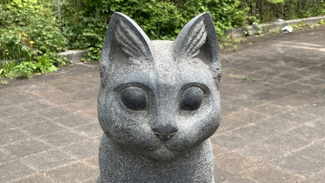 リンコにのった猫(収穫祭)